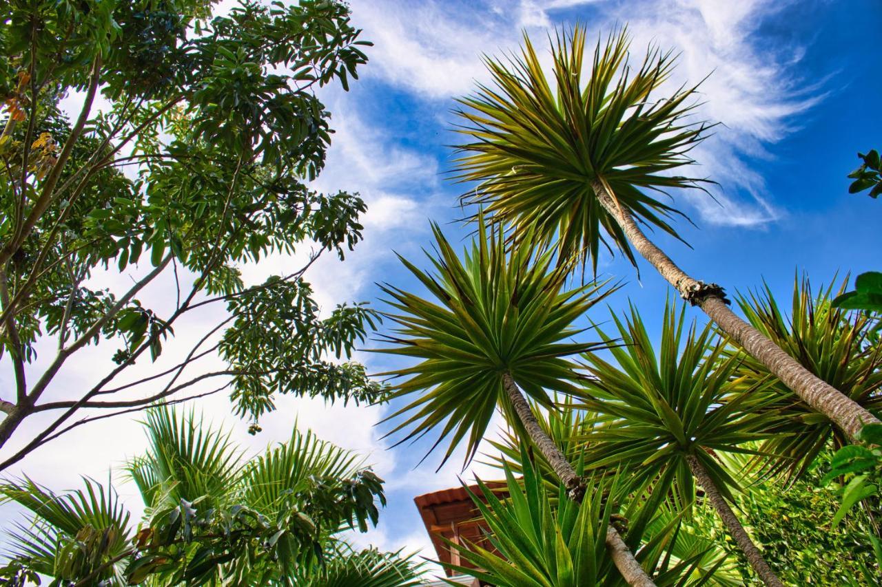 Villa Casa Lobo à San Pedro de la Laguna Extérieur photo